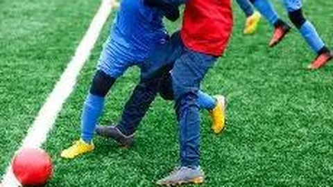 国王连胜遭猛龙终结，洛里与西卡表现亮眼