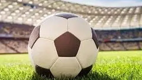 好博体育 资讯 100629 pog